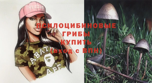 СК Аркадак